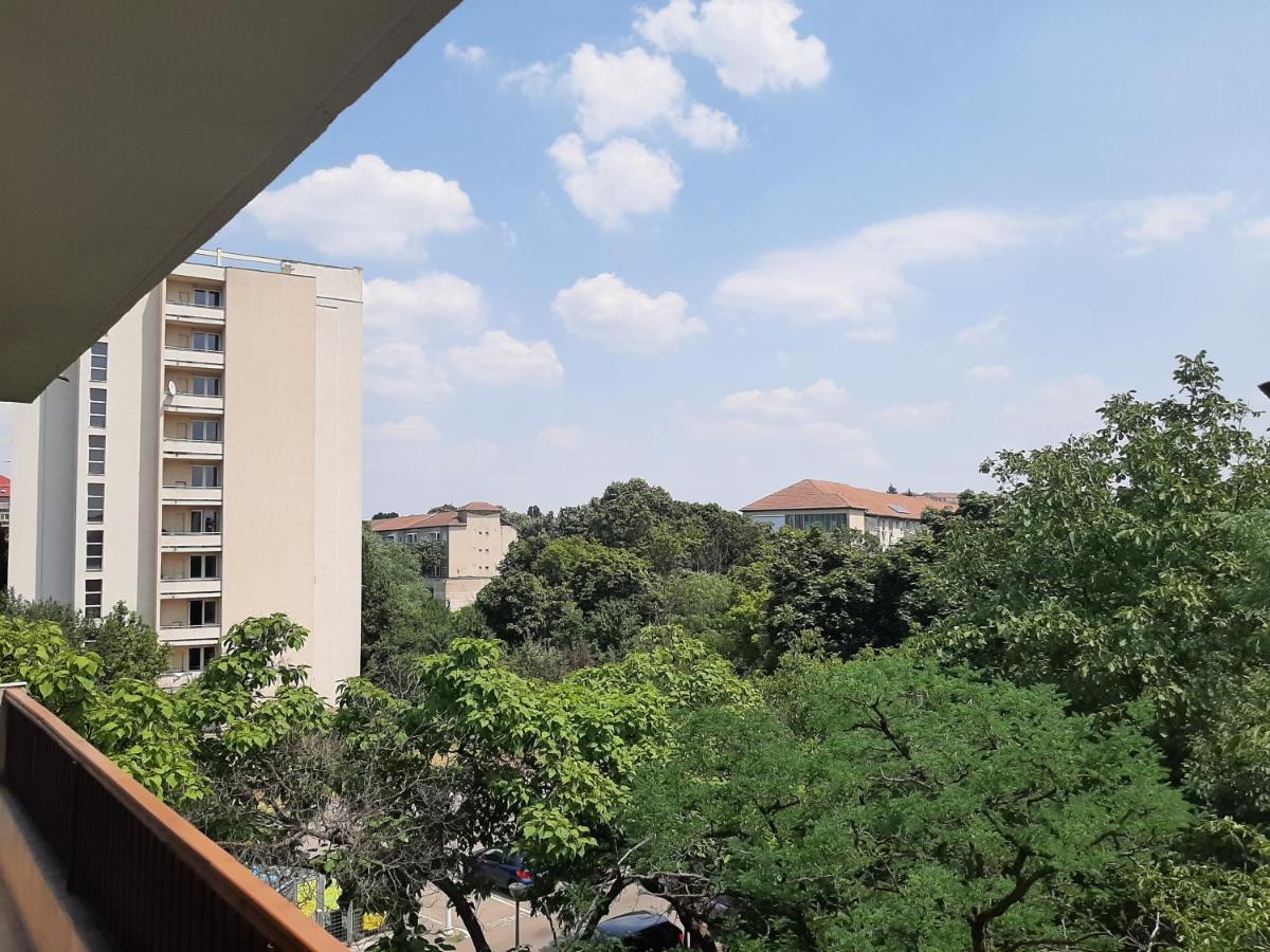 Hyggelig Apartman Nagyvárad Kültér fotó